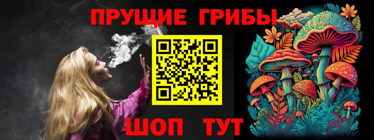 Кулебаки  Галлюциногенные грибы Psilocybe  Вход с VPN  Галлюциногенные грибы ЛСД 